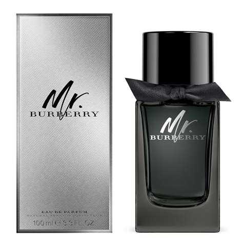 burberry mr burberry eau de parfum 100ml|mr burberry perfume price.